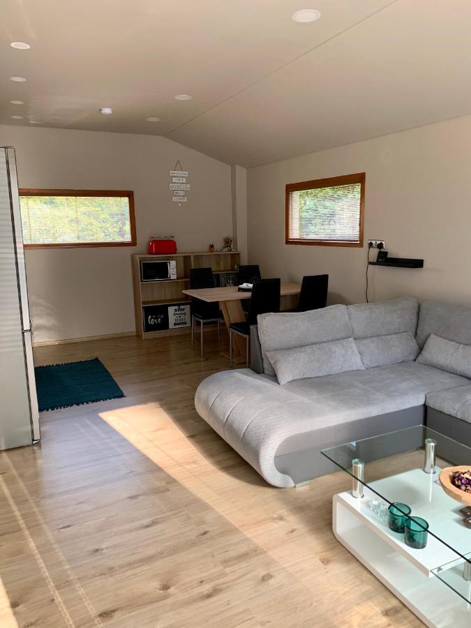 Grand Spa Holiday Home II Sklené Teplice المظهر الخارجي الصورة